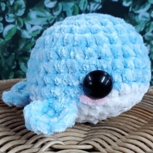 Blue Baby Whale