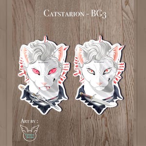 Autocollant vinyle Kitty Astarion - inspiré de Baldur's gate 3