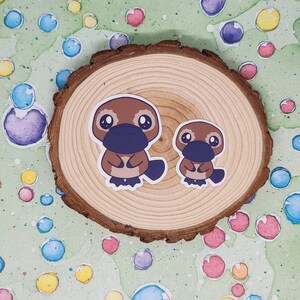 Platypus slippers hot sale