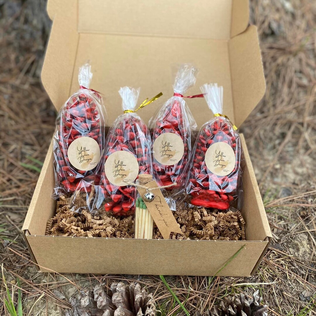 Pinecone Fire Starter, Set of 4 With Bottle of Matches, Fire Starter