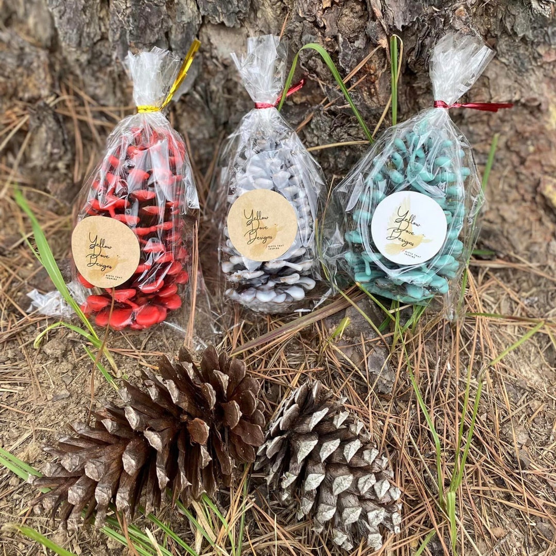 Pinecone Fire Starter, Set of 3 With Matches, Fire Pit Starter, Wedding