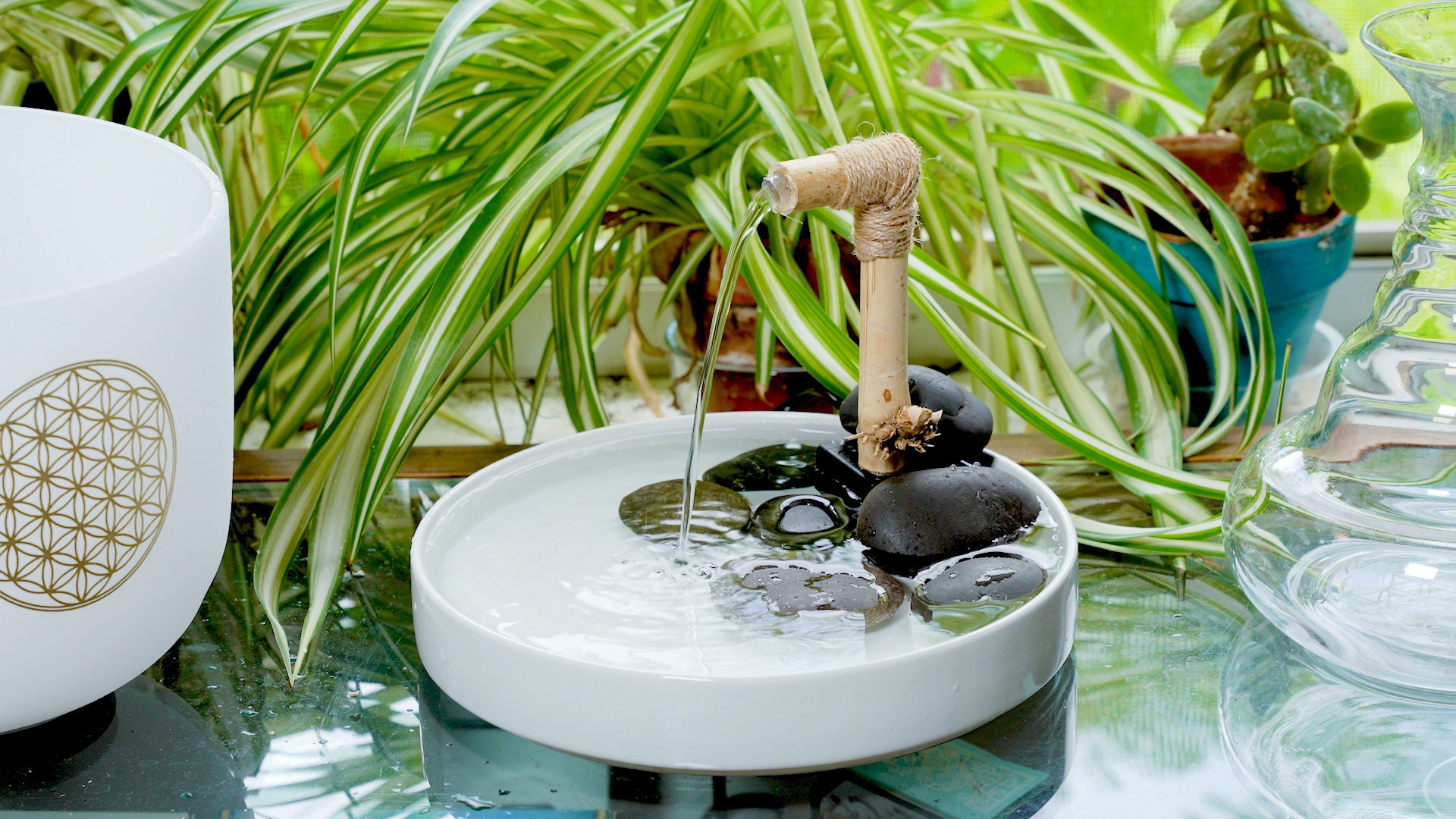 Reiki's Zen Budgie Spa Zen Master Model Bird Bath Porcelain Bowl, Real