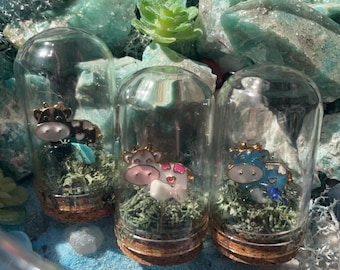 Mini Cow Terrarium