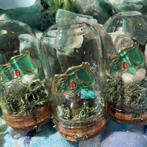 Mini Bulbasaur Terrarium