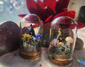 Mini Gnome Terrarium