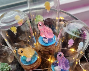 Mini Turtle Terrarium