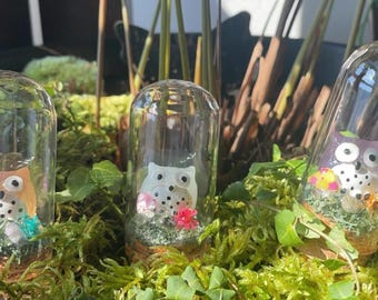 Mini Owl Terrarium