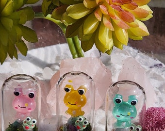 Mini Frog Terrarium