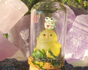 Mini Chick Terrarium