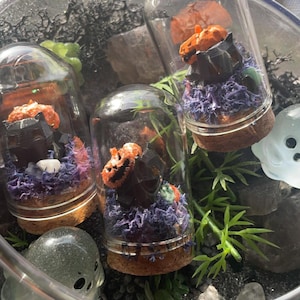 Mini Halloween Bulbasaur Terrarium