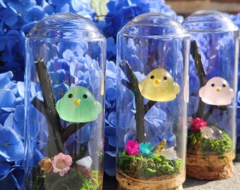Mini Bird Terrarium