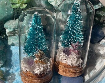 Mini Christmas Tree Terrarium