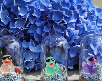 Mini Duck with Glasses Terrarium