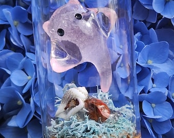 Mini Stingray Terrarium