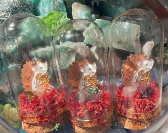 Mini Hedgehog Terrarium