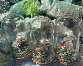 Mini Football Terrarium