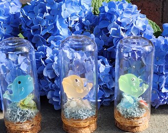 Mini Dolphin Terrarium