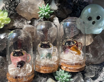 Mini Kitty in Cup Terrarium