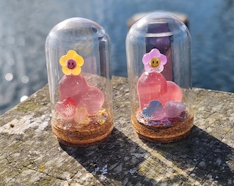 Mini Juicy Heart Terrarium