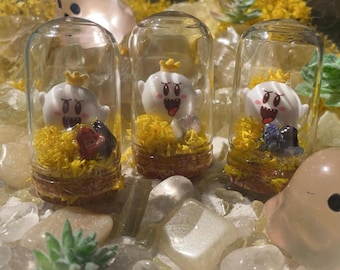 Mini King Boo Terrarium