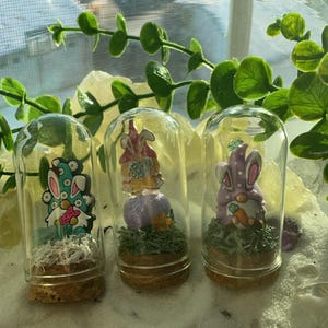 May include: Three glass jars with cork lids, each containing a small, colorful Easter bunny figurine. The bunnies are decorated with glitter and have different colored clothing and accessories. The jars are filled with a small amount of green grass and white sand.