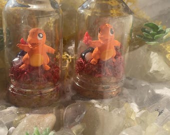 Mini Charmander Terrarium