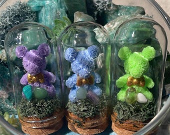 Mini Rose Bear Terrarium