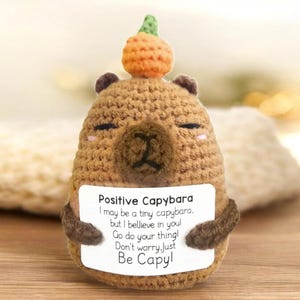 May include: A handmade, crocheted capybara figurine in shades of brown, with a small orange and green pineapple on its head. The capybara holds a white sign with the text "Positive Capybara".