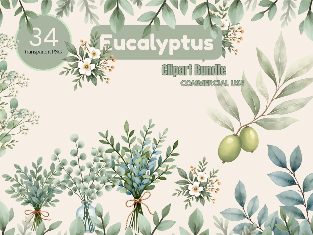 Watercolor Eucalyptus Clipart Bundle – Greenery PNG Graphics ...