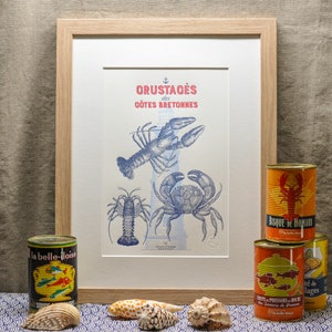 Buchdruck-Poster Schalentiere aus den Côtes Bretonnes