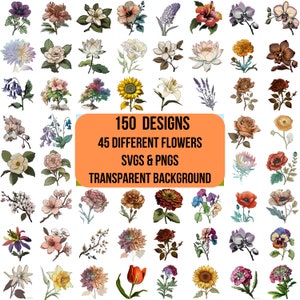 Clipart bloemen SVG & PNG | Digitale bloemkunst | 150 Afbeeldingen | 45 bloemsoorten | Sublimatie van bloemen | Transparante achtergrond | Commercieel gebruik