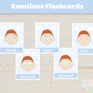 Emotion Flashcards, Toddler Boys Feelings, Montessori Printable Activity