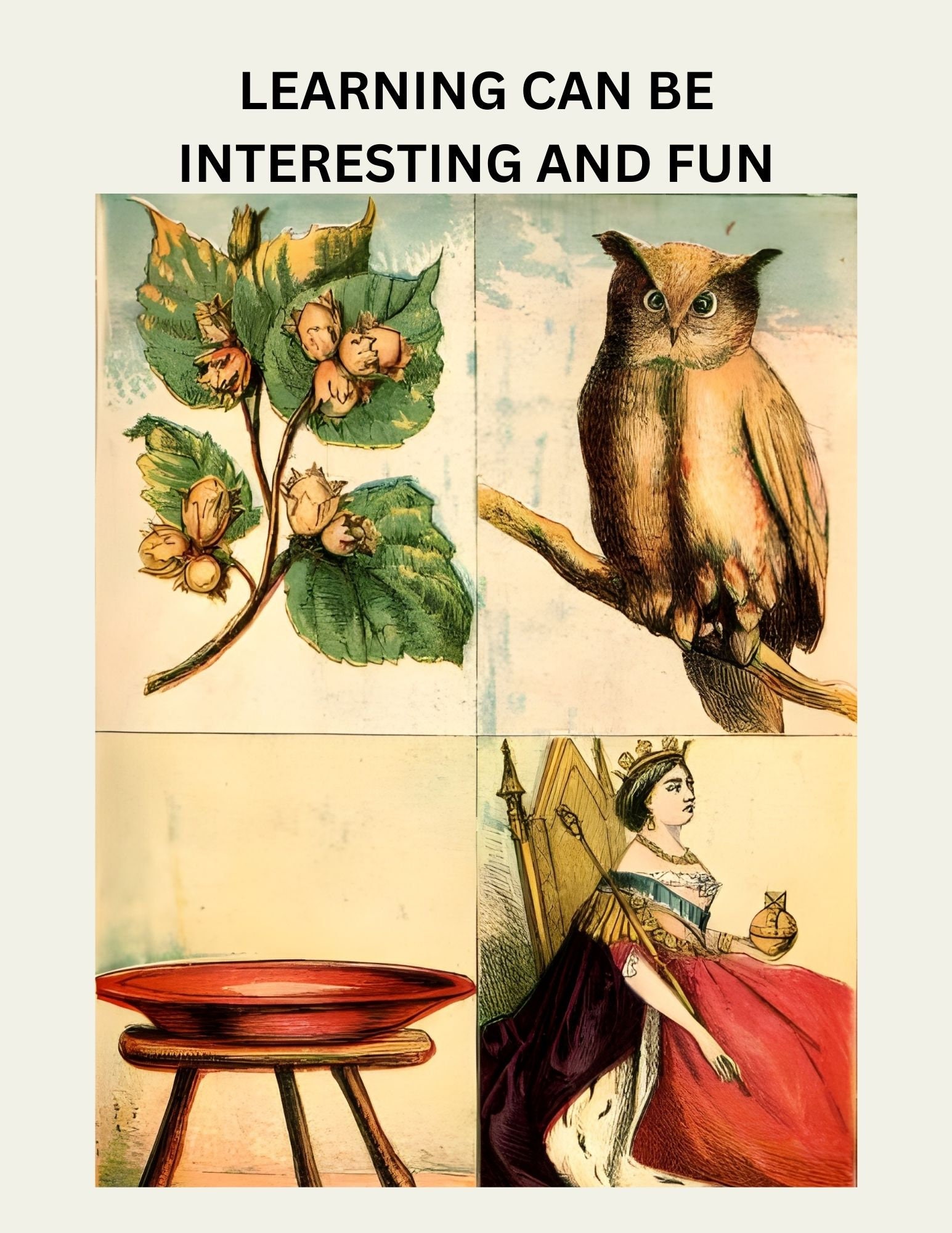 Vintage Alphabet Flash Cards for Classroom and Home School Etsy