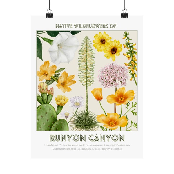 Runyon Canyon Wildflower Wall Art / Print Poster / Native Plants / Botanical / Gifts / Floral Illustration / Hollywood Hills Minimalist
