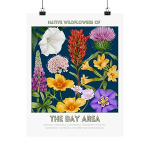 May include: A poster with a blue background featuring illustrations of native wildflowers found in the Bay Area. The poster includes the names of the flowers, such as Sacred Datura, Ayun, California Buckwheat, California Poppy, Pacific Aster, Indian Paintbrush, California Thistle, Sticky Monkey Flower, and Bluewitch Nightshade.