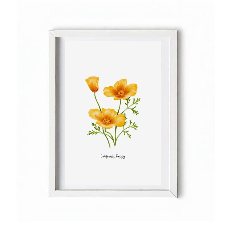 Charming California Poppy Wall Art - Botanical Watercolor Print ...