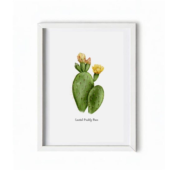 bird's nest snake plant Green Birds Nest Snake Plant - 4