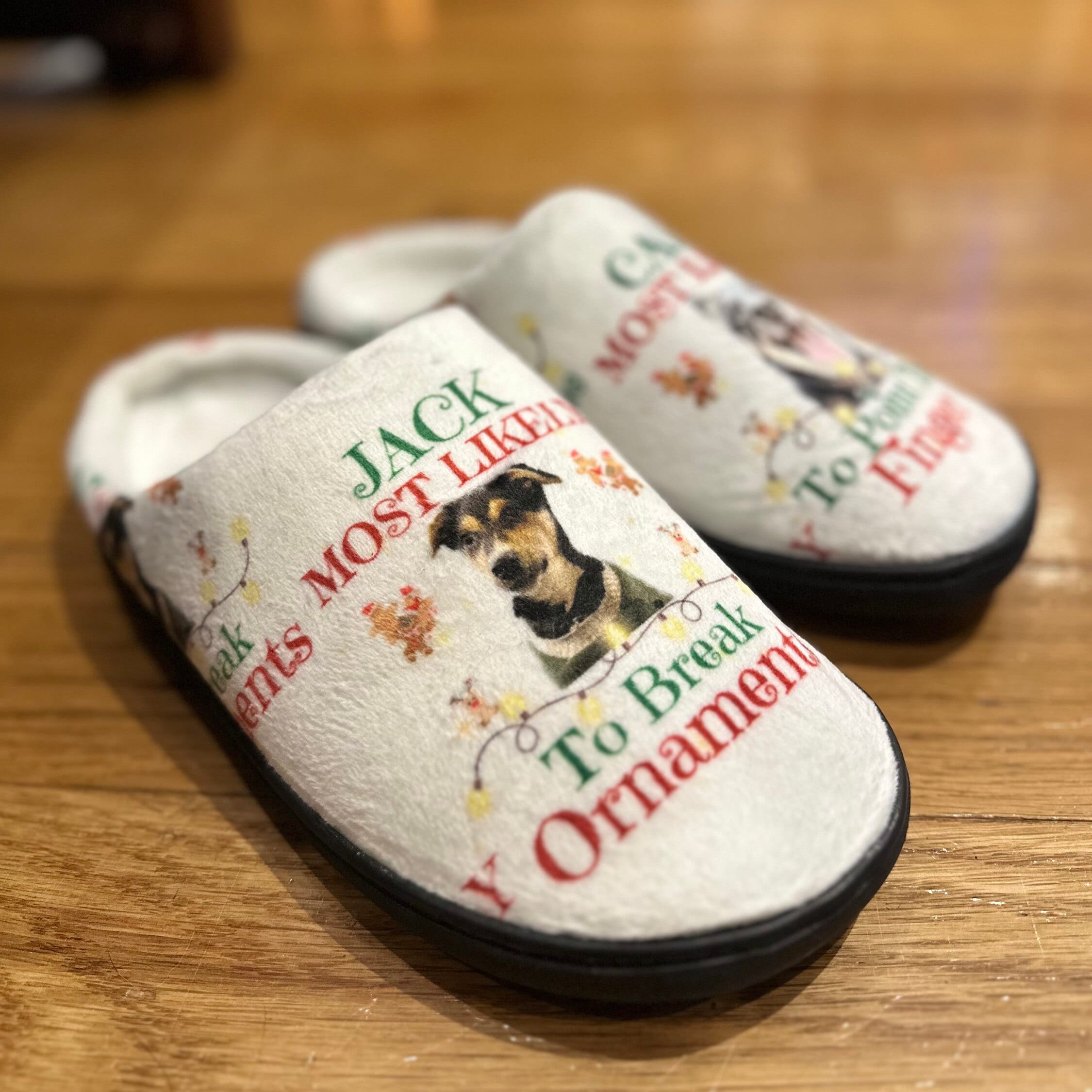 personalised dog slippers