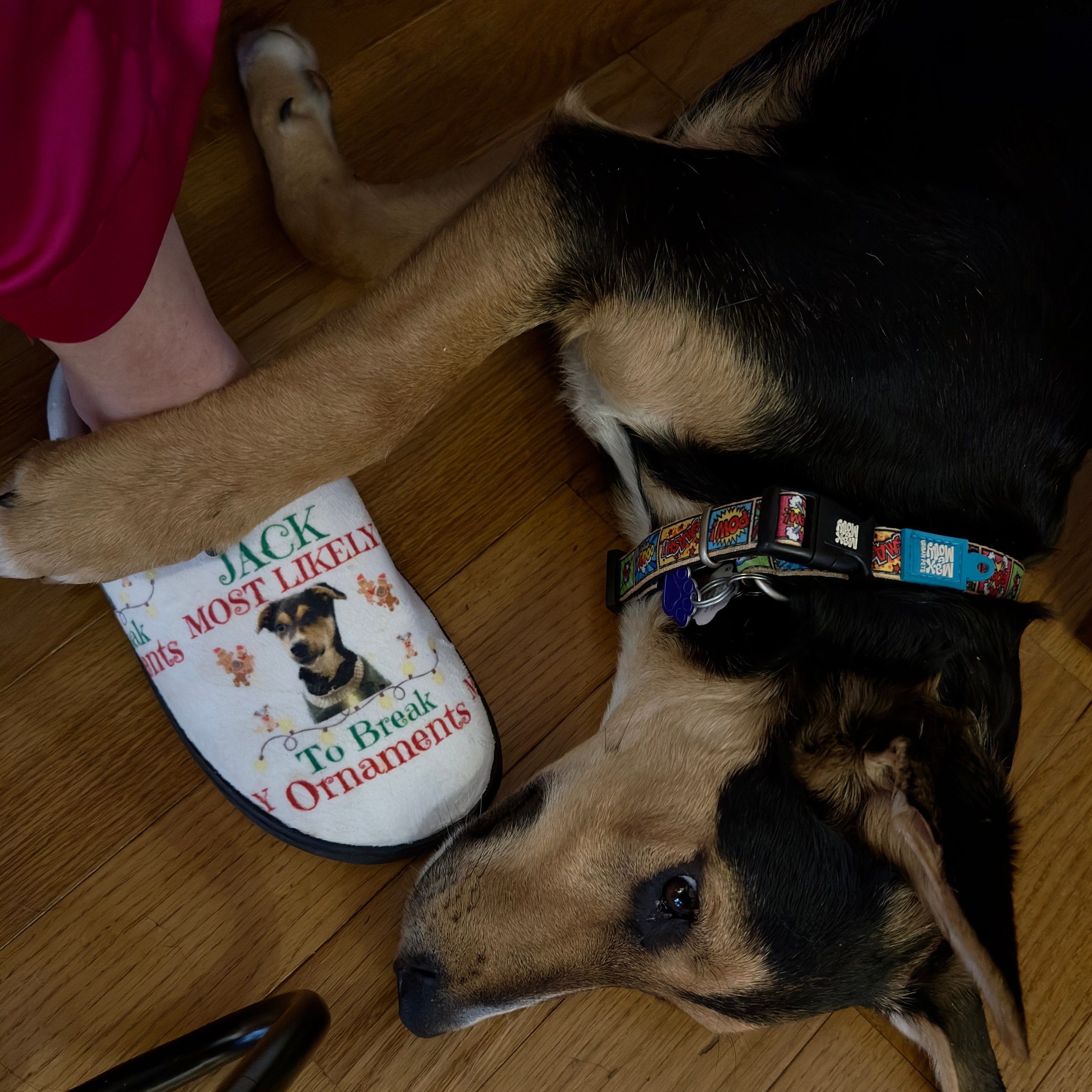 personalised dog slippers