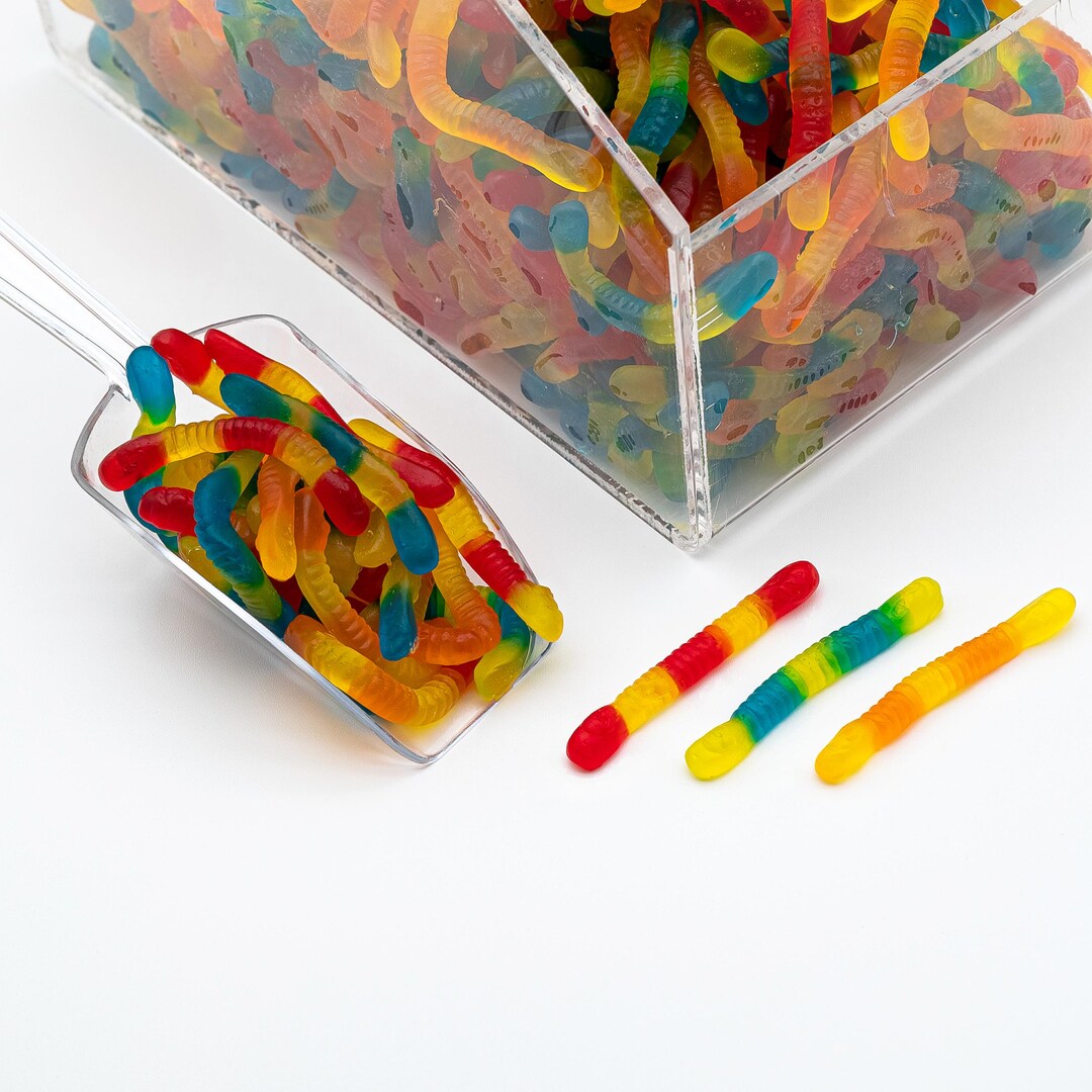 NY Spice Shop Sugar-Free Gummy Worms - Stevia Sweetened, 70 Pieces Per Pound