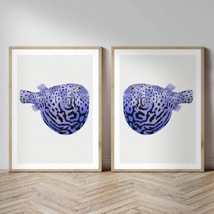 May include: Two framed prints of a purple and black spotted pufferfish with yellow eyes. The fish are facing opposite directions and are set against a white background.