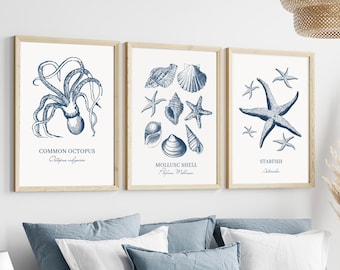 Minimalistische Küstenwandkunst für Schlafzimmer | Muschelkunst für Badezimmer | beige Wohnzimmerkunst | Blaue Muschelzeichnung