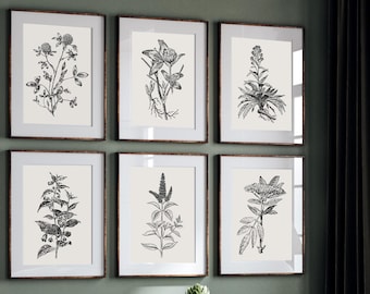 Stampe murali neutre | set di 6 stampe murali botaniche vintage | decorazione da parete con piante | arte murale minimalista per il soggiorno