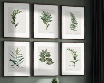 Set of six Country Vintage Botanical Prints | botanical vintage drawings for cottage | Vintage green leaf wall art set for modern farmhouse