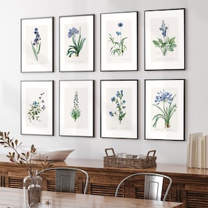 Arte floreale blu vintage minimalista, 8 stampe botaniche antiche, disegno di fiori selvatici vintage, arte floreale stampata e spedita