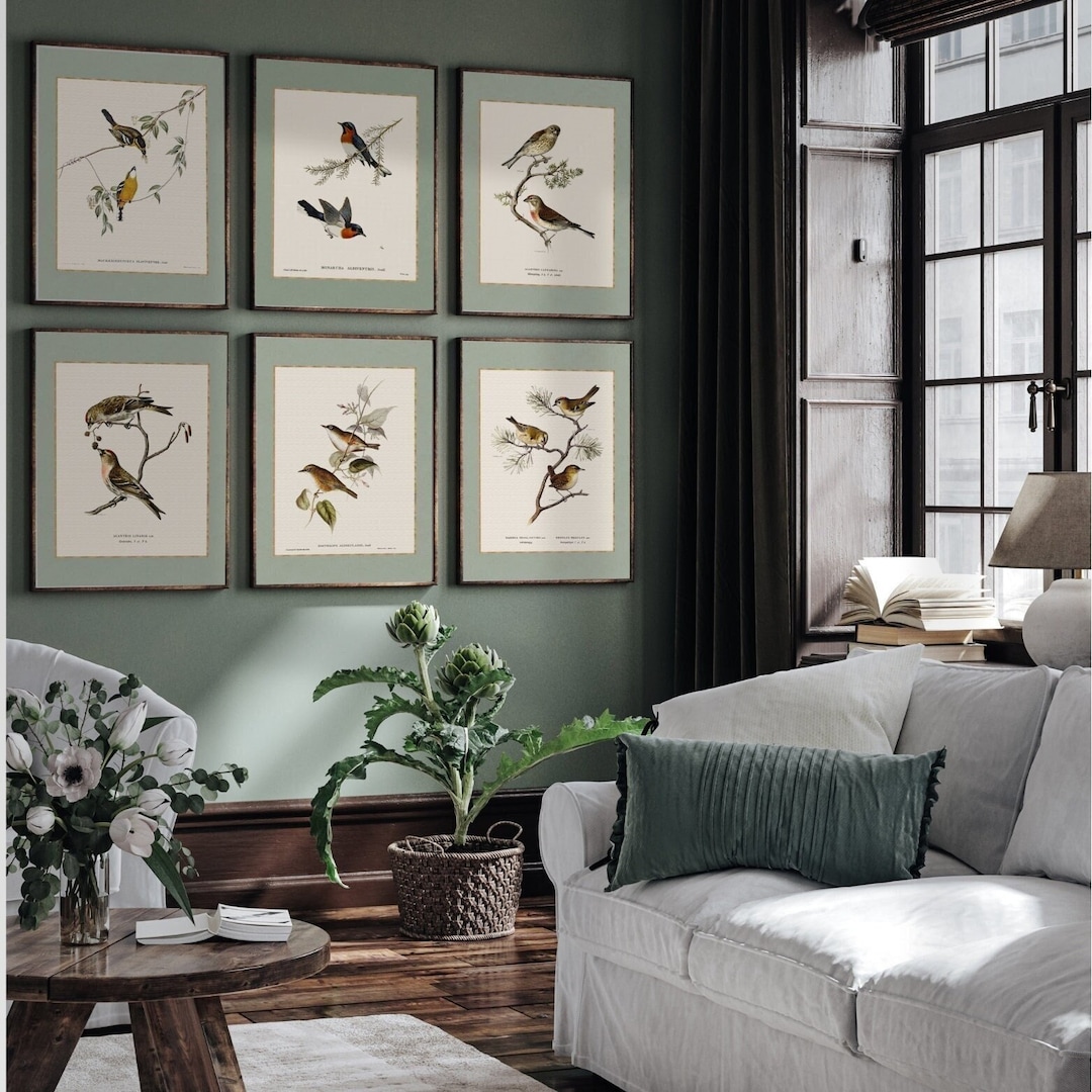 Vintage Bird Art Set | Watercolor Set Farmhouse Decor With Birds ...