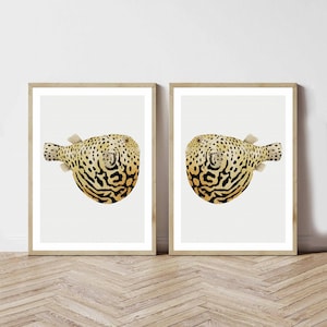 Beige Fish Wall Art Set of 2 | Minimalist Coastal Prints for Beach Home | Elegant Nautical Fish Duo Printed and Shipped | cute boho art