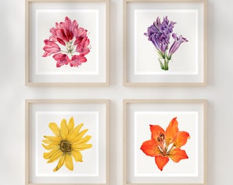 Set di 4 decorazioni da parete con motivi botanici in stile fattoria | Stampe floreali minimaliste e neutre | Regalo per l'asilo nido stampato e spedito