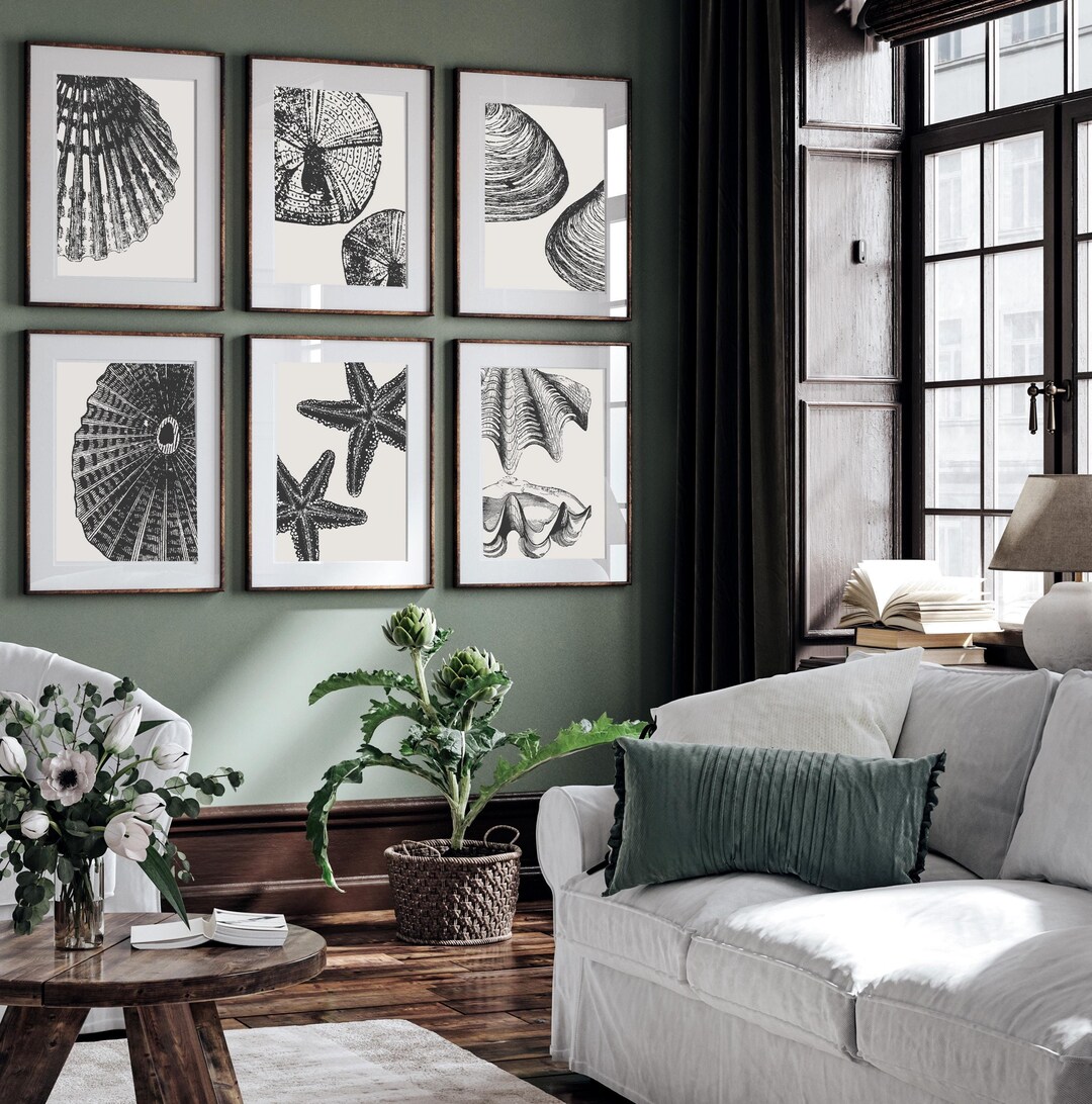 Neutral Coastal Wall Art for Beach House | Vintage Seashell Prints for ...
