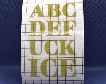 Abcdefuckice  | Vinyl | Many colors to choose from!- Anti-Deportation, Activist Art, Social Justice